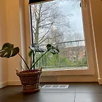 Privatunterkunft Helles Im Modernen Holzhaus Mit Queensize-bett, Balkon, Schreibtisch, Tv, Klimaanlage&abdunkelnden Jalousien *