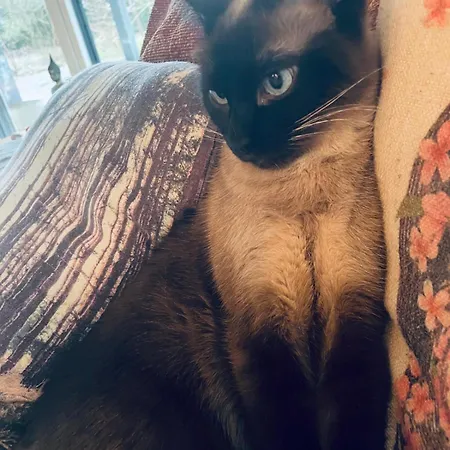 Helles Im Modernen Holzhaus Mit Queensize-bett, Balkon, Schreibtisch, Tv, Klimaanlage & Abdunkelnden Jalousien *