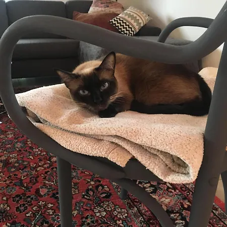 Проживание в семье Helles Im Modernen Holzhaus Mit Queensize-bett, Balkon, Schreibtisch, Tv, Klimaanlage & Abdunkelnden Jalousien Нордерштедт